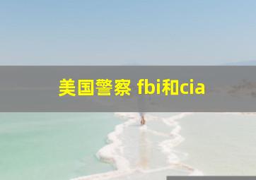 美国警察 fbi和cia